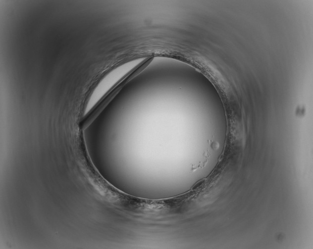 X0000097980401200803241304