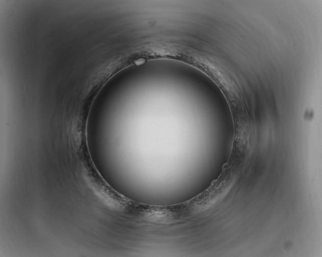 X0000097980402200803241304