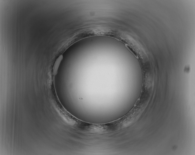 X0000097980405200803241304