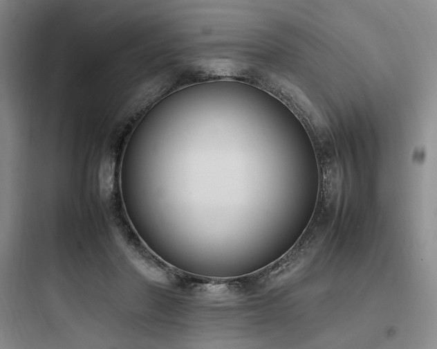 X0000097980406200803241304
