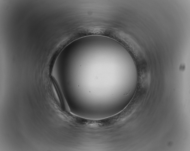 X0000097980407200803241304