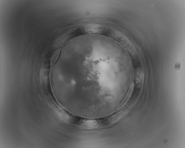 X0000097980409200803241304