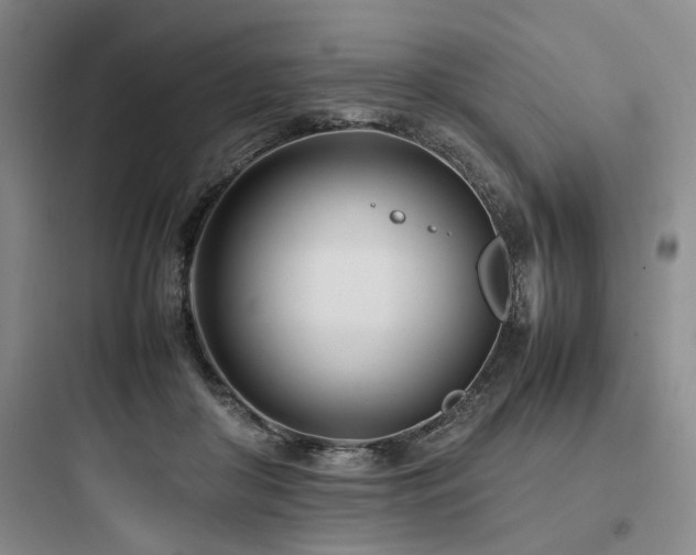 X0000097980410200803241304