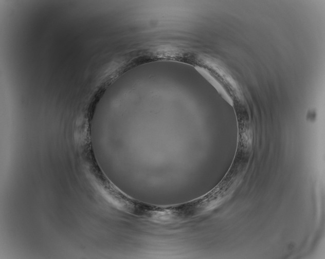 X0000097980411200803241304