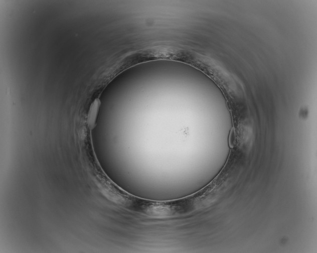 X0000097980413200803241304