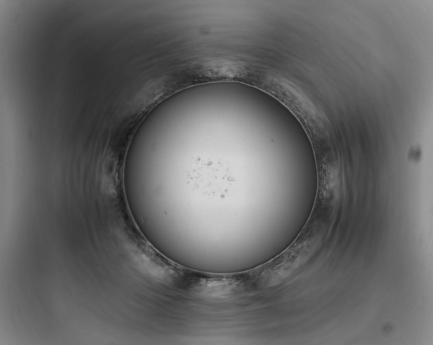 X0000097980414200803241304