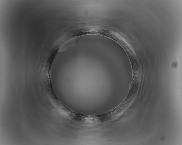 X0000097980415200803241304