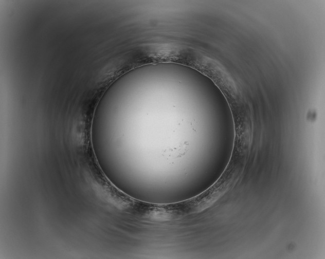 X0000097980416200803241304