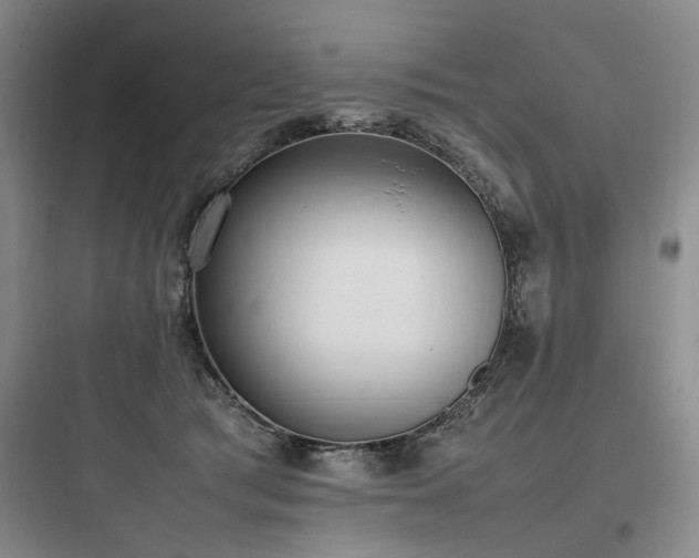 X0000097980417200803241304