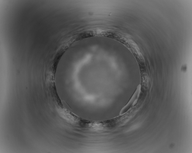 X0000097980419200803241304