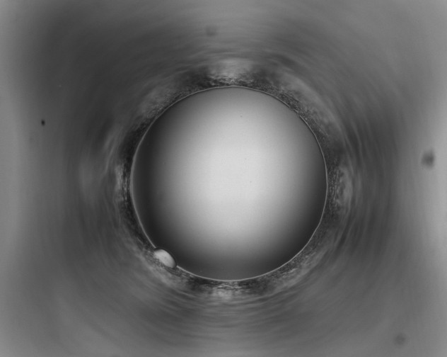 X0000097980420200803241304