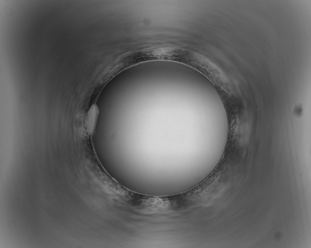 X0000097980421200803241304