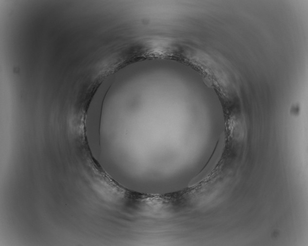 X0000097980423200803241304