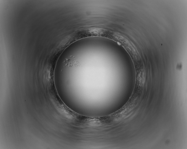 X0000097980424200803241304