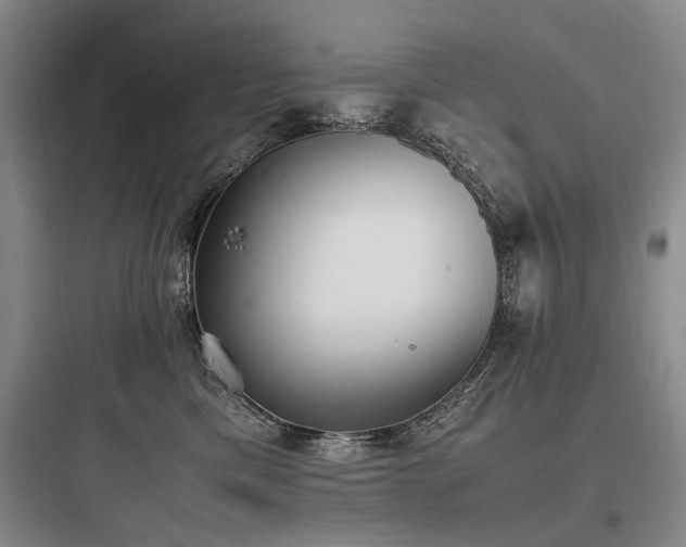 X0000097980425200803241304
