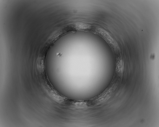 X0000097980426200803241304