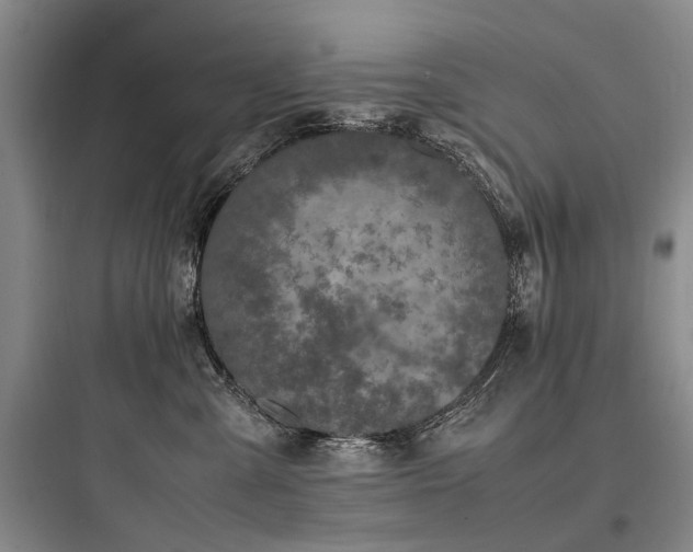 X0000097980427200803241304