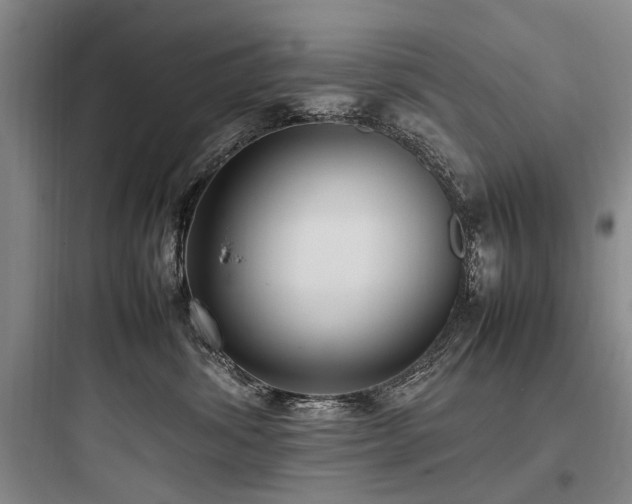 X0000097980428200803241304
