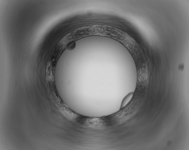 X0000097980431200803241304