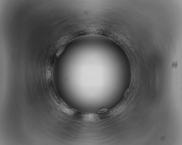 X0000097980432200803241304