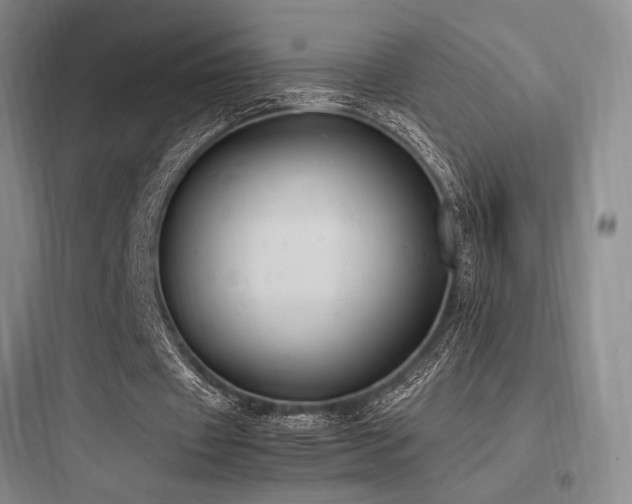 X0000097980433200803241303