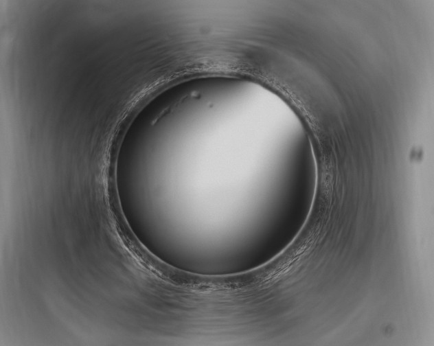 X0000097980434200803241303