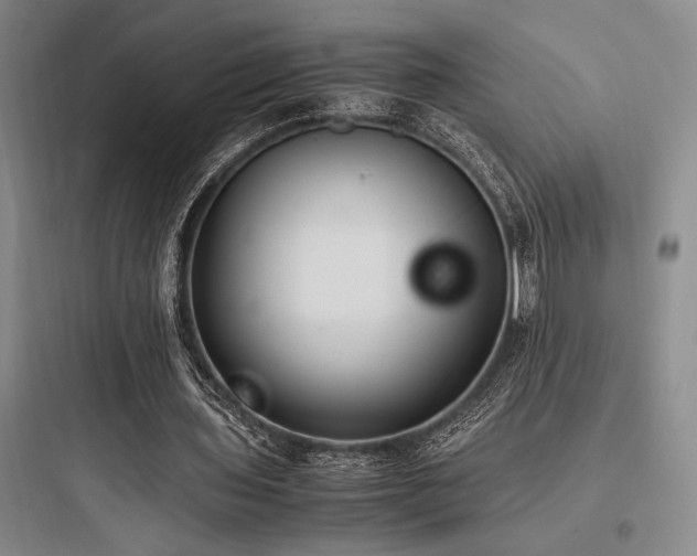 X0000097980435200803241303