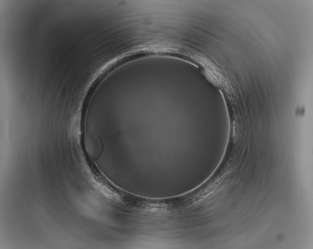 X0000097980438200803241303