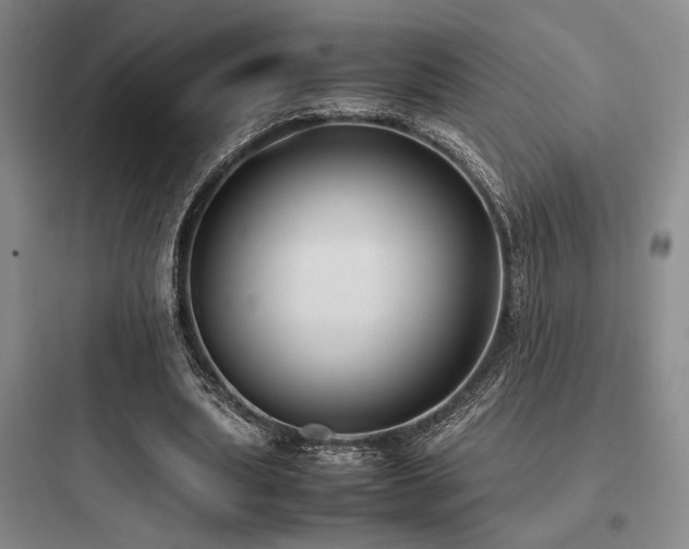 X0000097980439200803241303