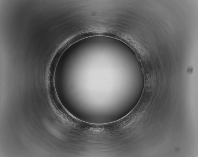 X0000097980440200803241303