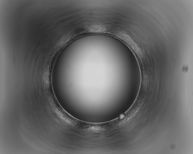 X0000097980441200803241303