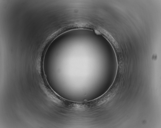 X0000097980442200803241303