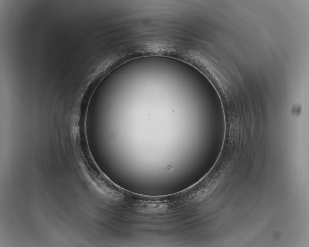 X0000097980443200803241303