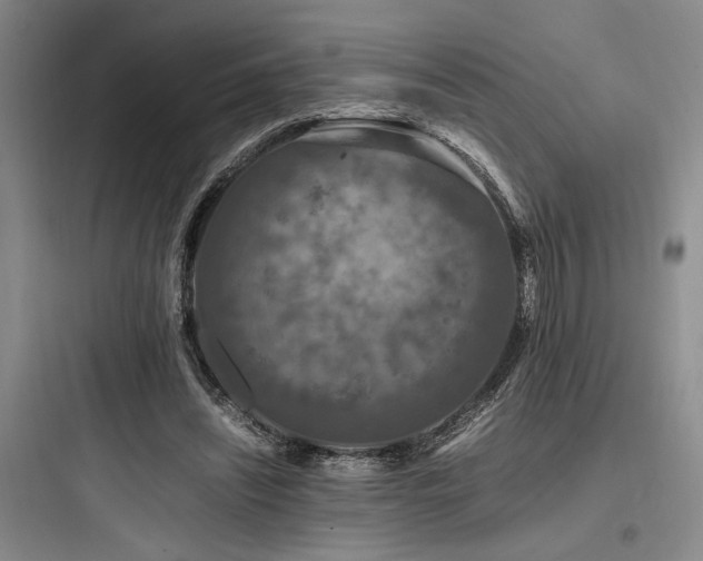 X0000097980444200803241303