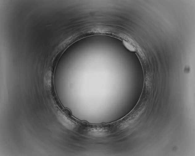 X0000097980445200803241303