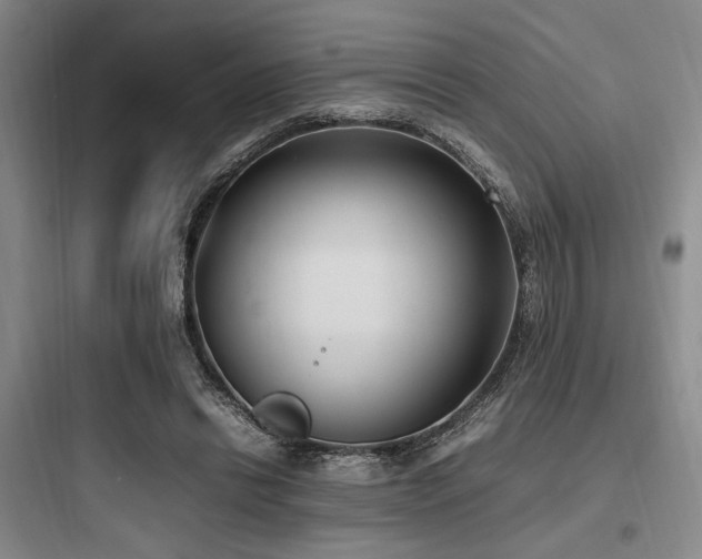 X0000097980446200803241303