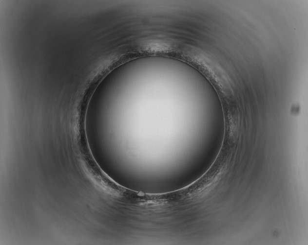 X0000097980447200803241303