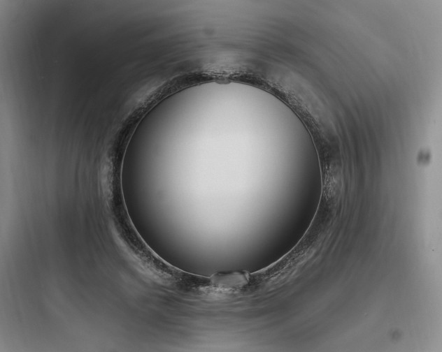 X0000097980448200803241303