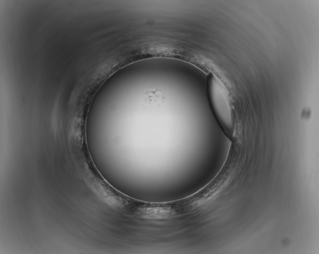X0000097980449200803241303
