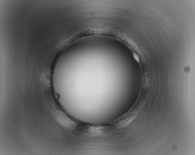 X0000097980450200803241303