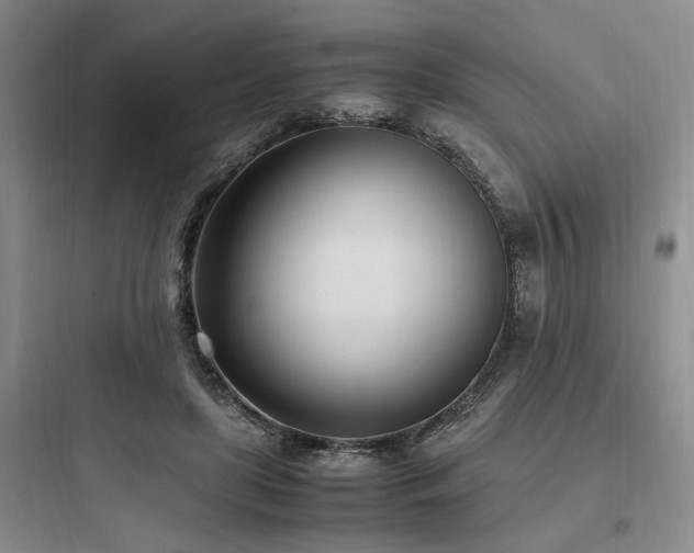 X0000097980451200803241303