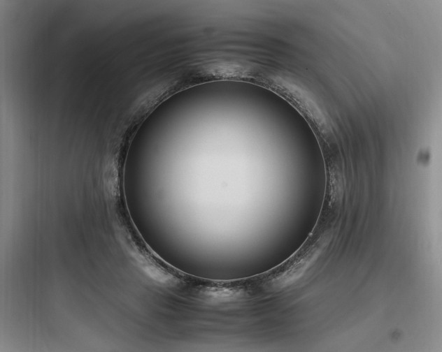 X0000097980453200803241303