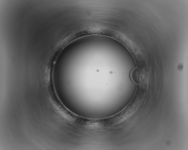 X0000097980454200803241303