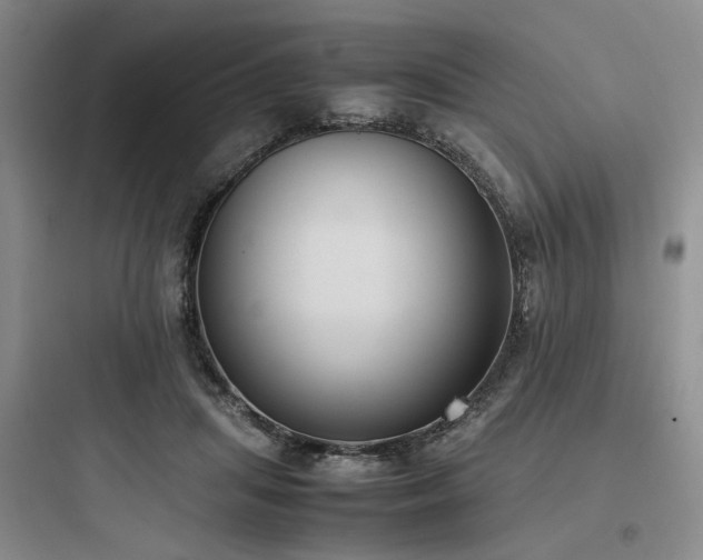 X0000097980455200803241303
