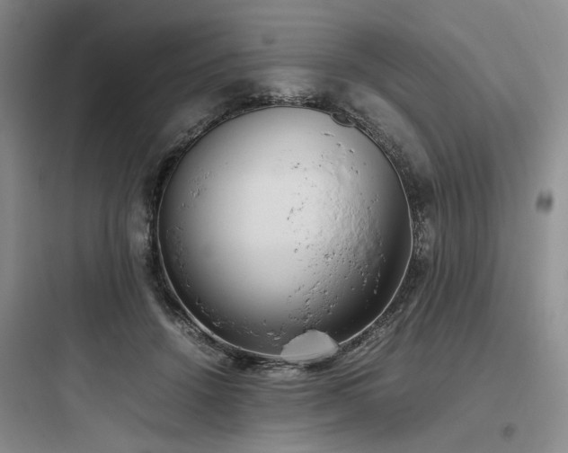 X0000097980456200803241303