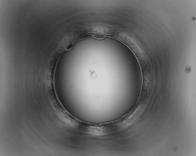X0000097980457200803241303