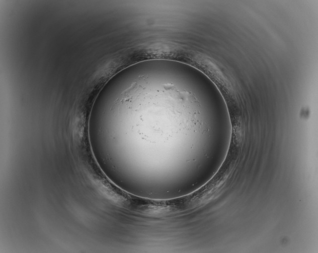 X0000097980458200803241303