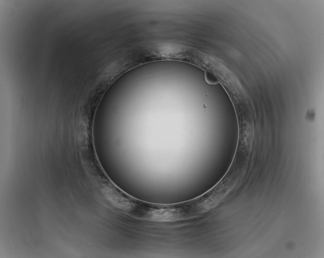 X0000097980461200803241303