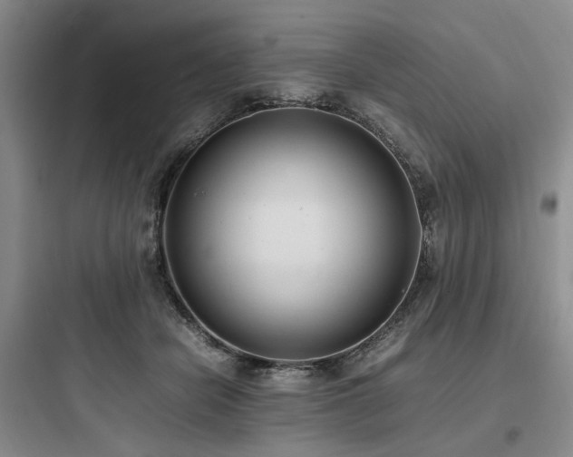 X0000097980462200803241303