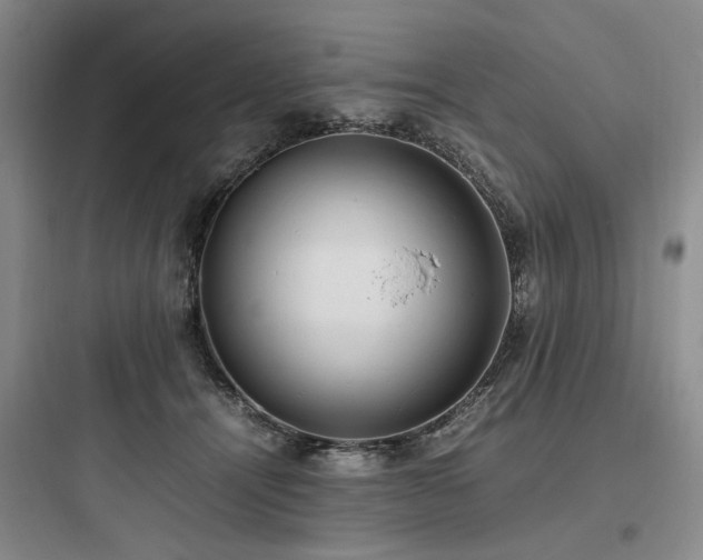 X0000097980464200803241303